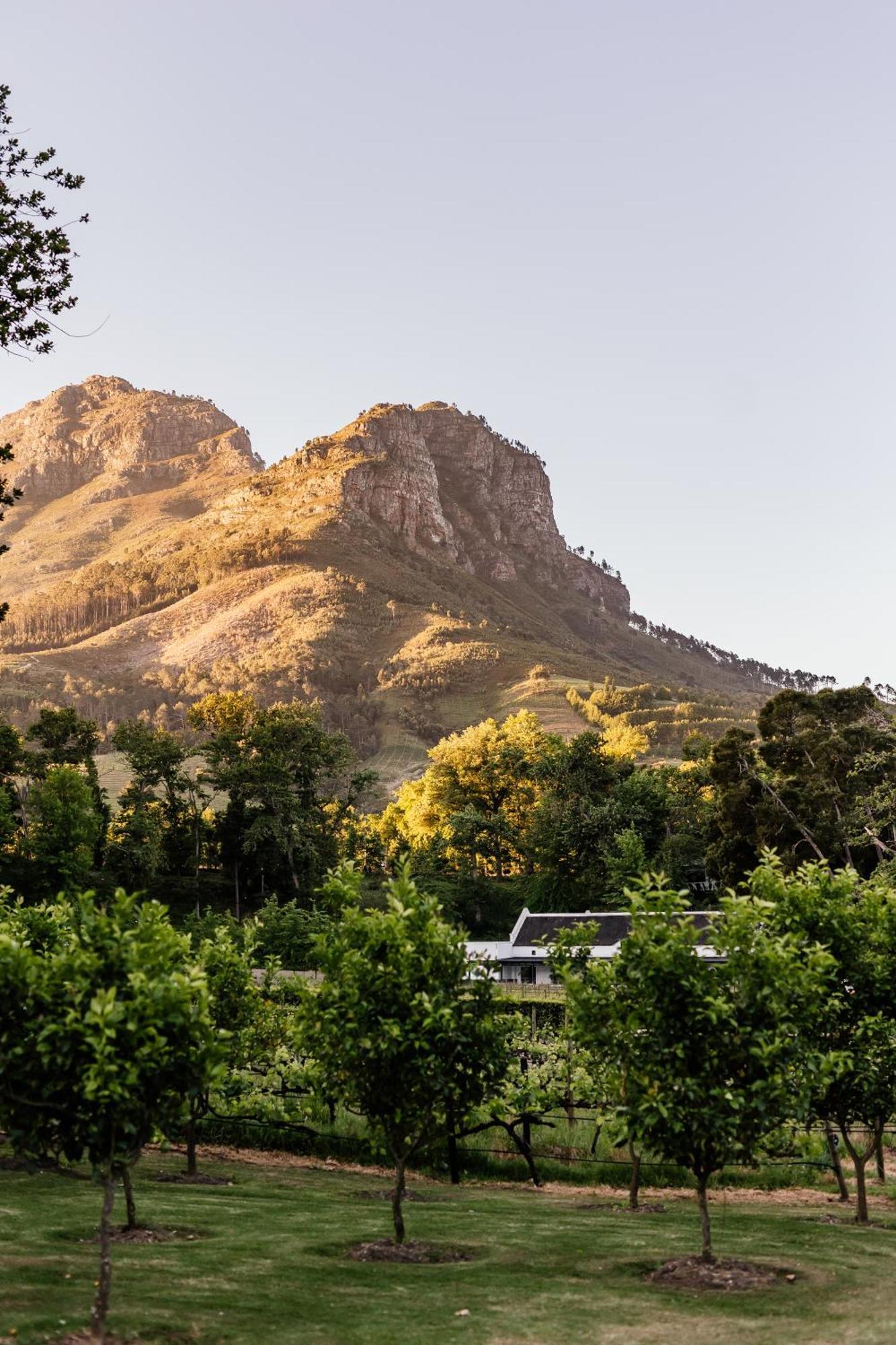 ホテル Molenvliet Vineyards ステレンボッシュ エクステリア 写真
